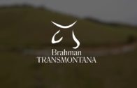 MOMENTO BRAHMAN – TRANSMONTANA