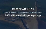 AGROPECUÁRIA PONTAL – CAMPEÃ CIRCUITO NELORE DE QUALIDADE 2021