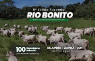 6º LEILÃO FAZENDA RIO BONITO