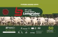 70º LEILÃO VIRTUAL NELORE LEMGRUBER – FAZ. MUNDO NOVO
