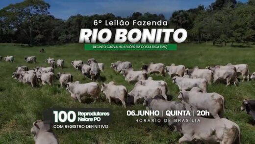 6º LEILÃO FAZENDA RIO BONITO