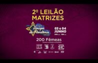 PAPO DE CRIADOR FAZ MUNDO NOVO – NELORE LEMGRUBER