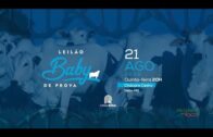  LEILÃO BABY DE PROVA