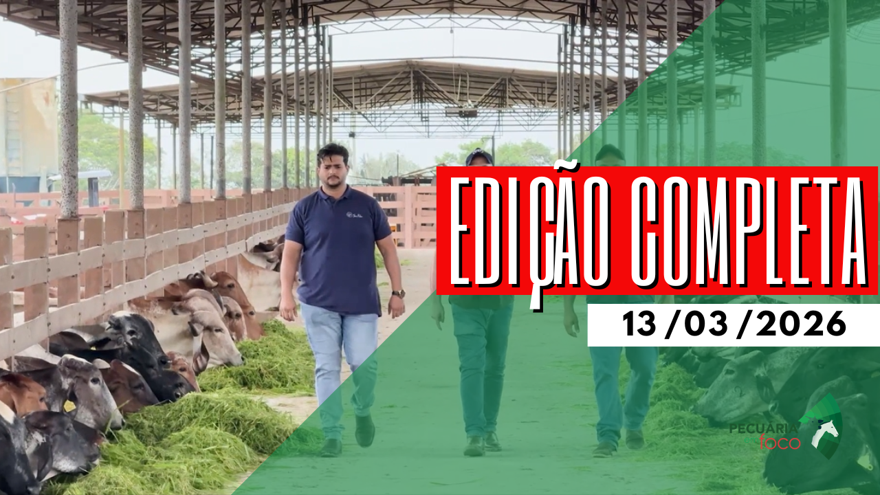PECUÁRIA EM FOCO - EDIÇÃO COMPLETA - 13/03/2026